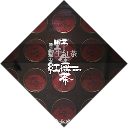 【48812】茶之味慢日子---重庆永川国际茶文明旅游节